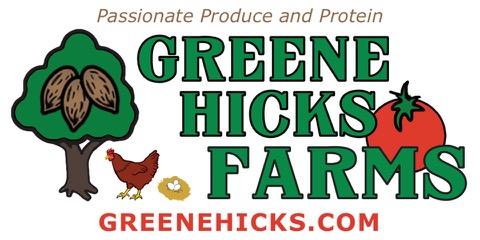 135398 GREENE HICKS